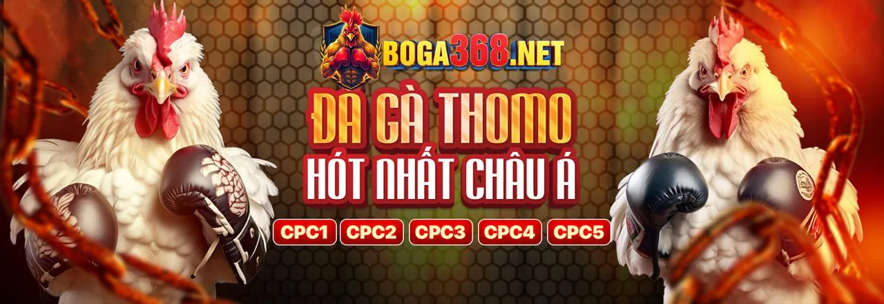 Hình ảnh chính về cá cược thể thao mot88 win